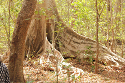 image03